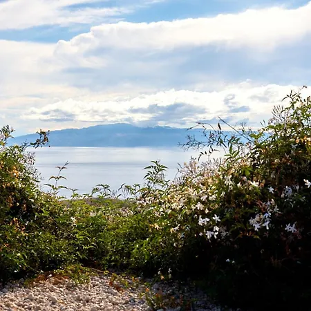 El Vinche * Guía de Isora