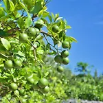 דירה El Vinche