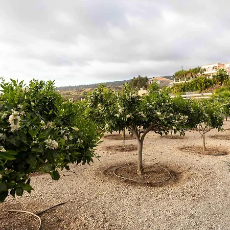 El Vinche דירה Guía de Isora